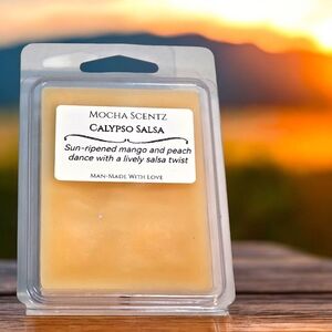 Handmade 2oz Calypso Salsa Wax Coconut/Soy Wax Melt- Oeange Cream